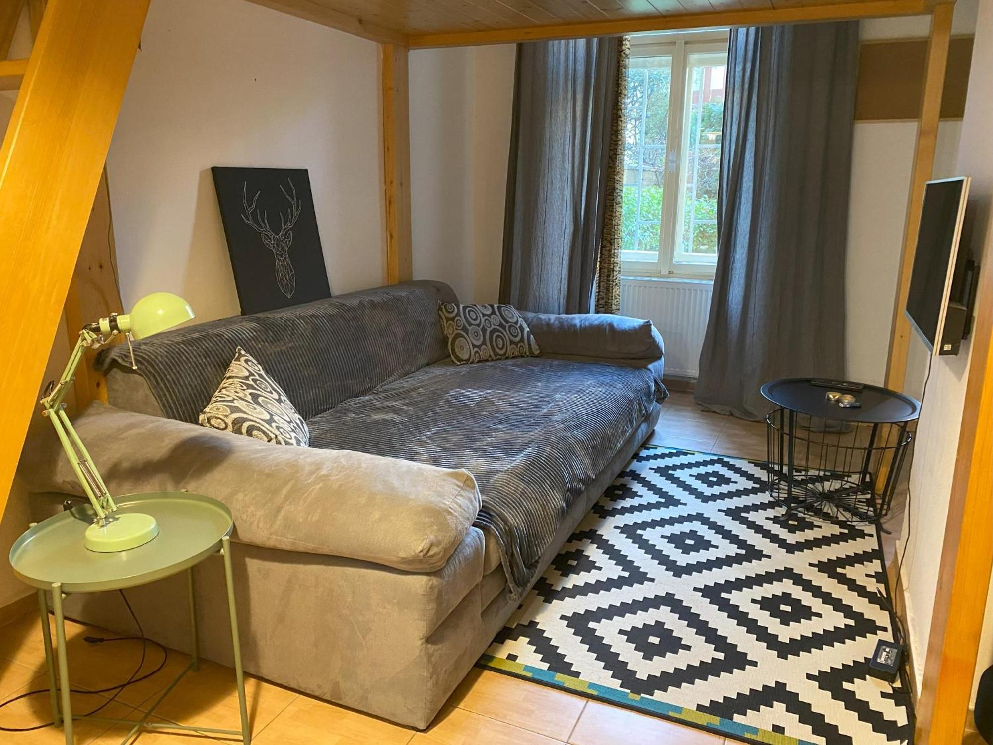 Cozy Garden In The Heart Of Apartment