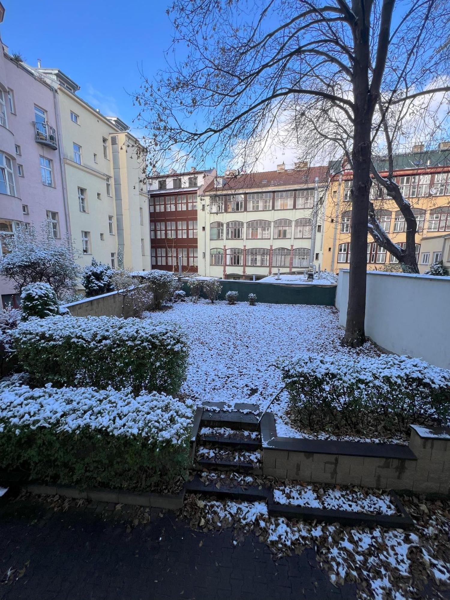Cozy Garden In The Heart Of